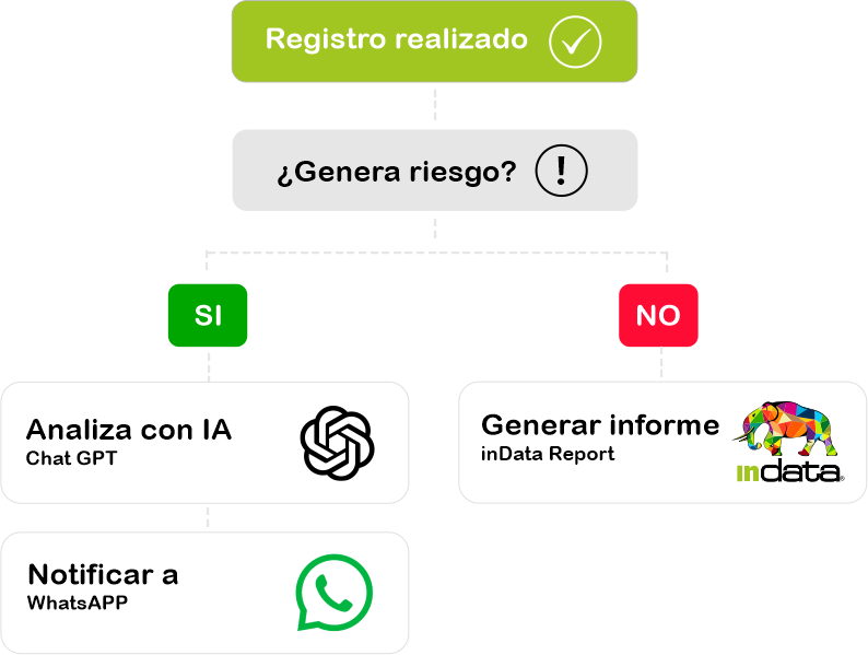 infografía de inData
